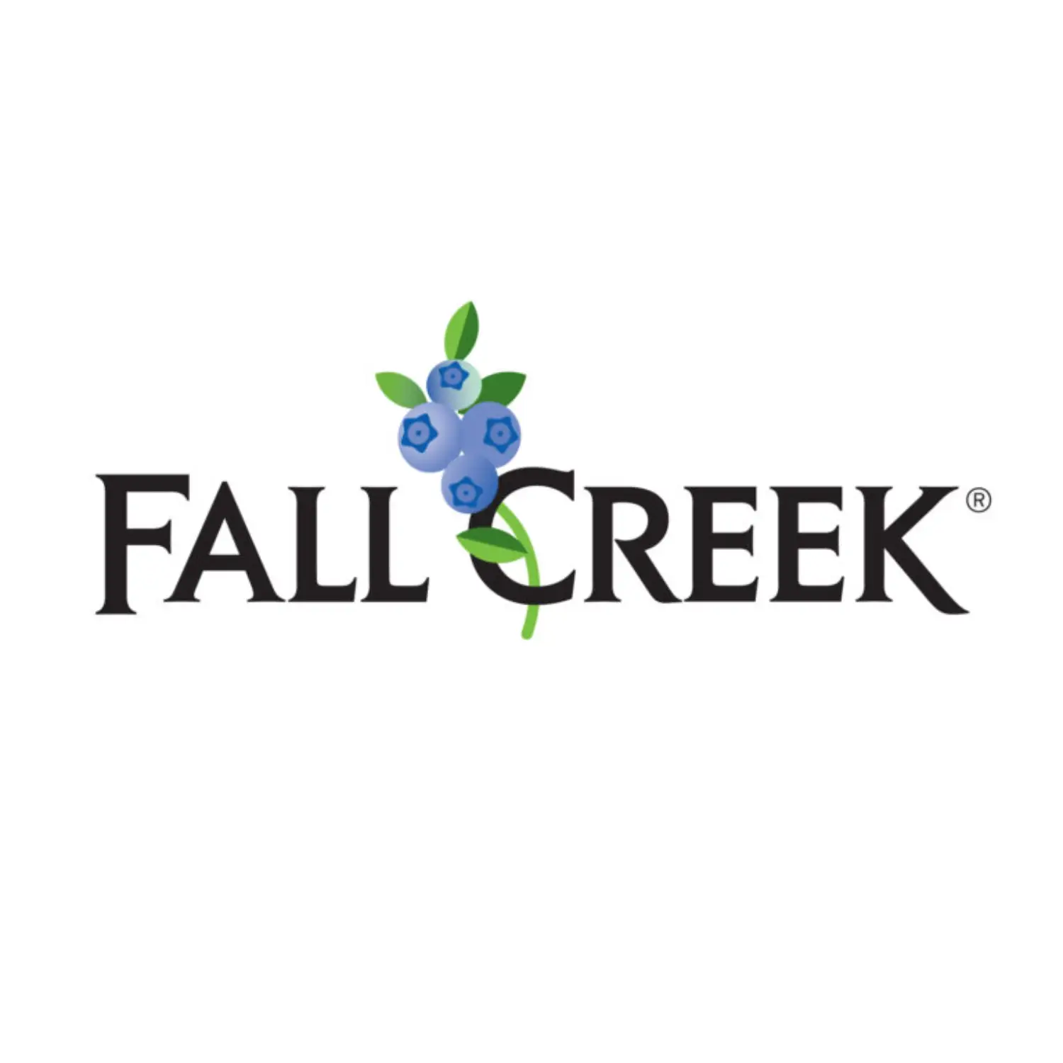 FALL CREEK PERU S.R.L.